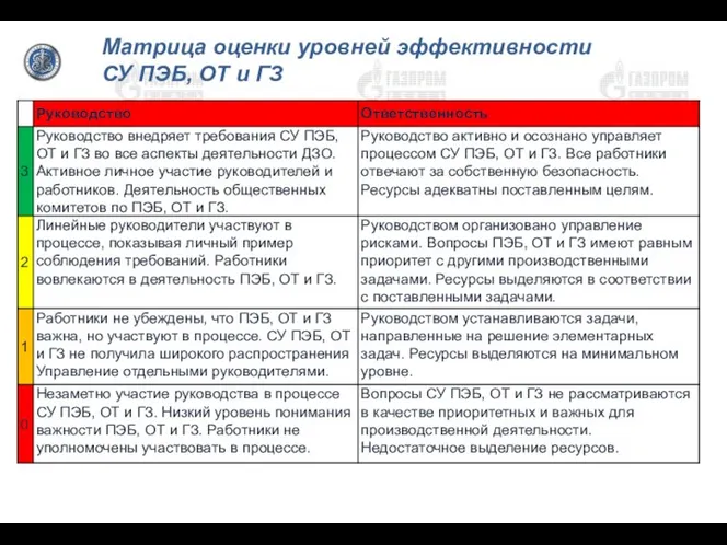 Матрица оценки уровней эффективности СУ ПЭБ, ОТ и ГЗ