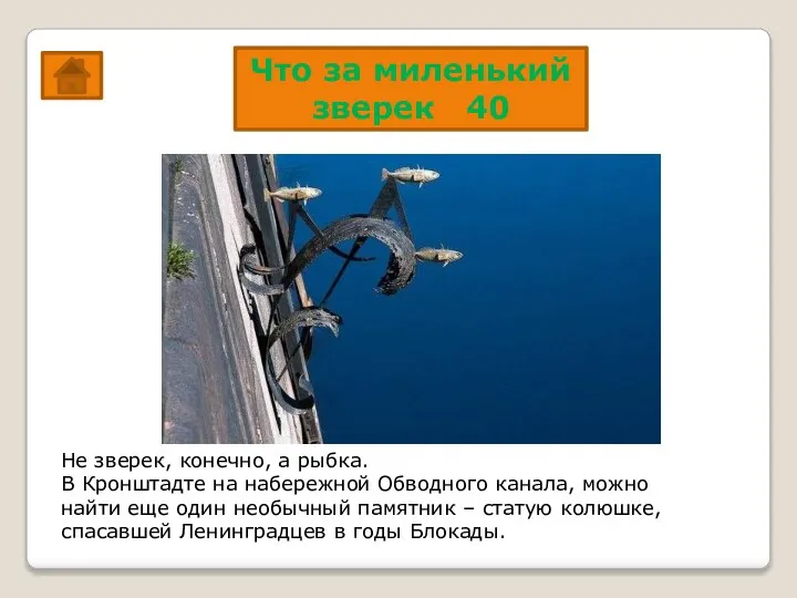 Что за миленький зверек 40 Не зверек, конечно, а рыбка. В