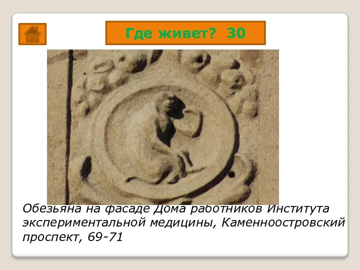 Где живет? 30 Обезьяна на фасаде Дома работников Института экспериментальной медицины, Каменноостровский проспект, 69-71