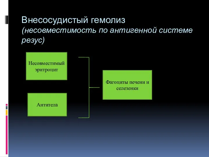 Внесосудистый гемолиз (несовместимость по антигенной системе резус) Несовместимый эритроцит Антитела Фагоциты печени и селезенки