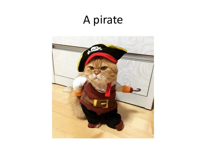 A pirate