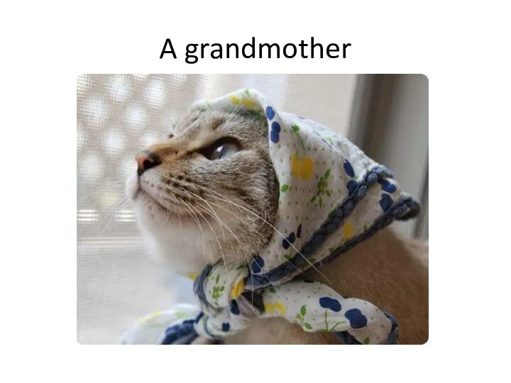 A grandmother