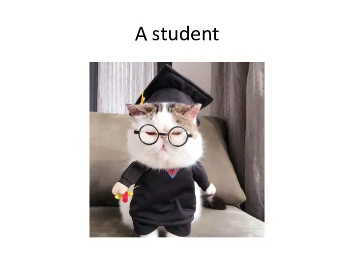 A student