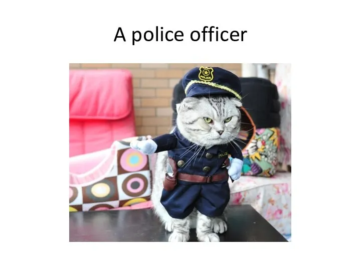 A police officer