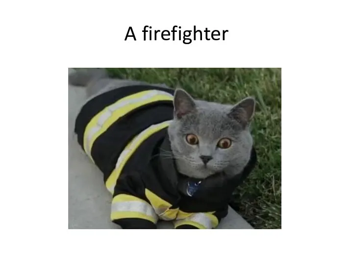 A firefighter