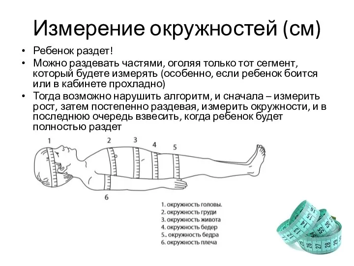 Измерение окружностей (см) Ребенок раздет! Можно раздевать частями, оголяя только тот