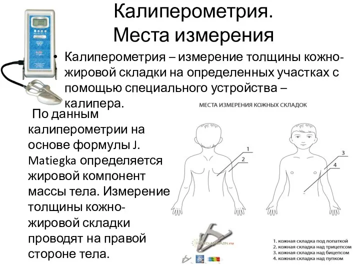 Калиперометрия. Места измерения Калиперометрия – измерение толщины кожно-жировой складки на определенных