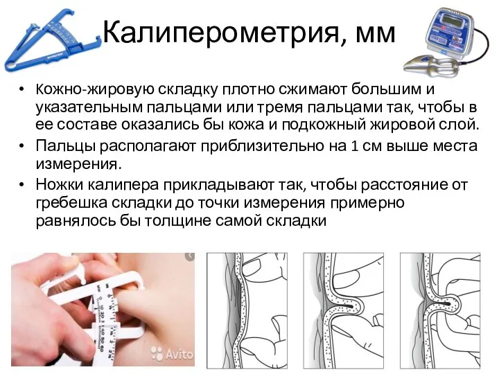 Калиперометрия, мм Kожно-жировую складку плотно сжимают большим и указательным пальцами или