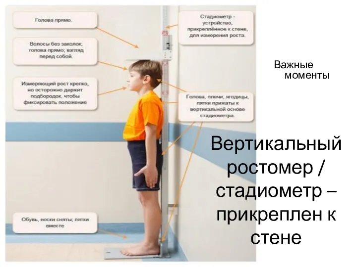 Вертикальный ростомер / стадиометр – прикреплен к стене Важные моменты