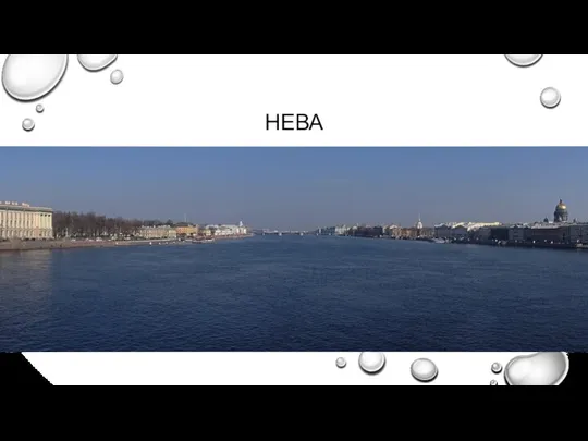 НЕВА