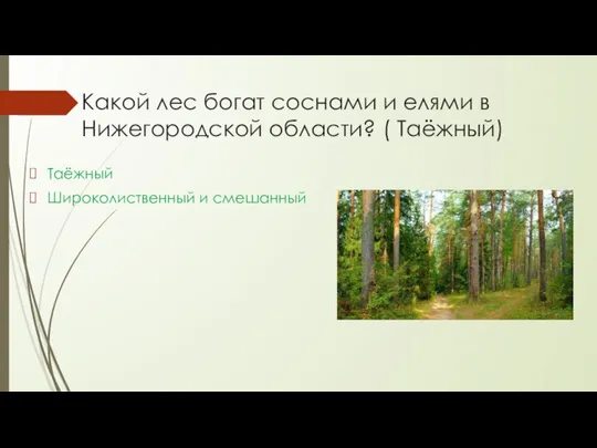 Какой лес богат соснами и елями в Нижегородской области? ( Таёжный) Таёжный Широколиственный и смешанный