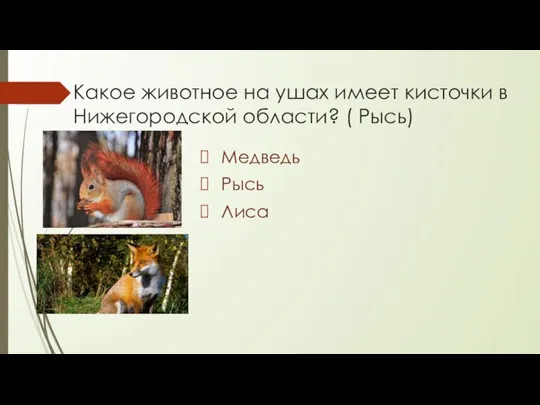 Какое животное на ушах имеет кисточки в Нижегородской области? ( Рысь) Медведь Рысь Лиса