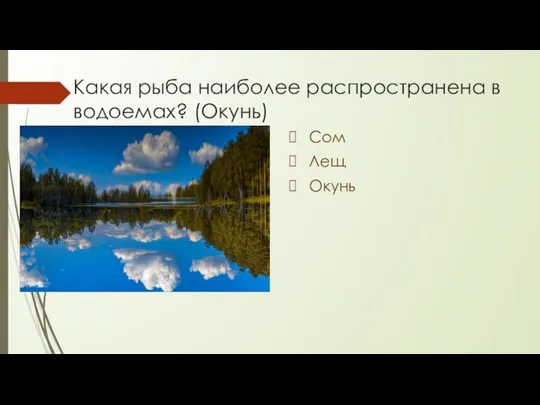 Какая рыба наиболее распространена в водоемах? (Окунь) Сом Лещ Окунь