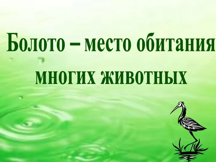 Болото – место обитания многих животных