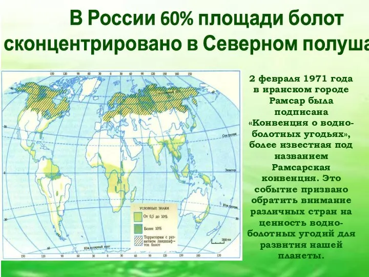 В России 60% площади болот сконцентрировано в Северном полушарии 2 февраля