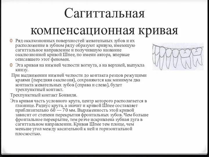 Сагиттальная компенсационная кривая Ряд окклюзионных поверхностей жевательных зубов и их расположение