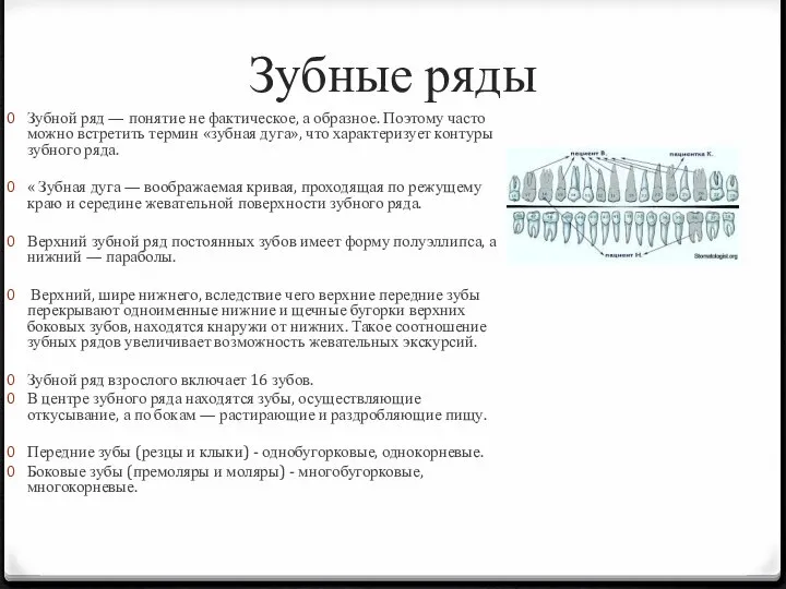 Зубные ряды Зубной ряд — понятие не фактическое, а образное. Поэтому