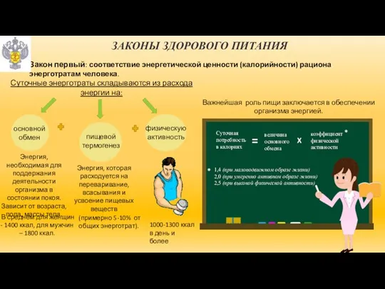 ЗАКОНЫ ЗДОРОВОГО ПИТАНИЯ Суточные энерготраты складываются из расхода энергии на: основной