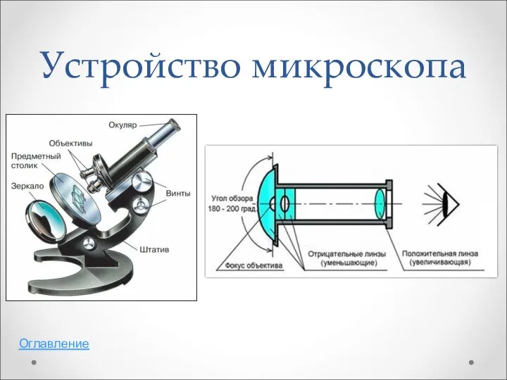 Устройство микроскопа Оглавление