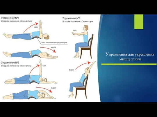 Упражнения для укрепления мышц спины