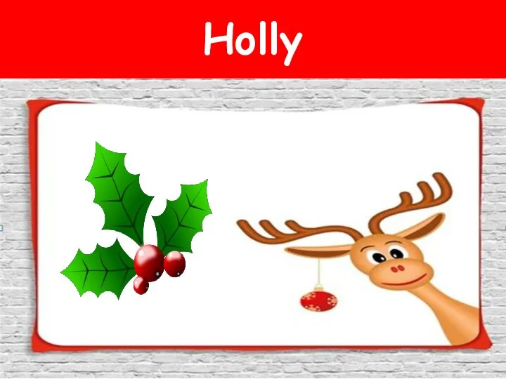 Holly