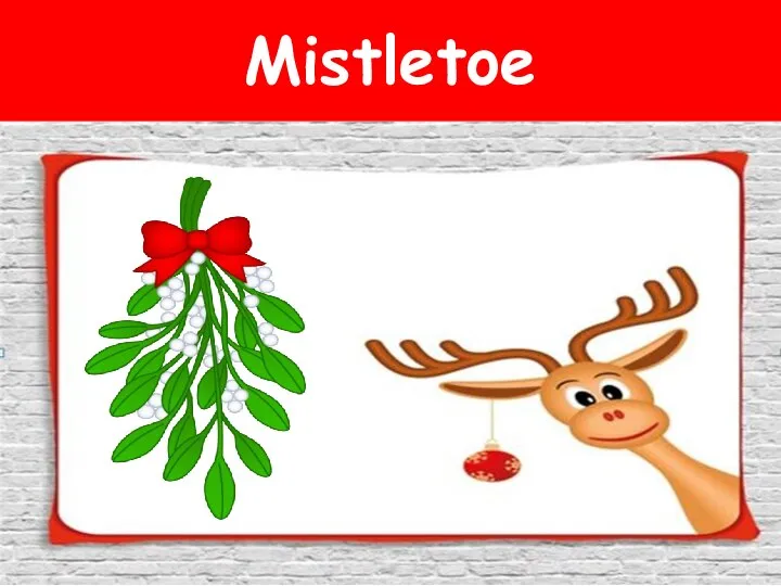 Mistletoe