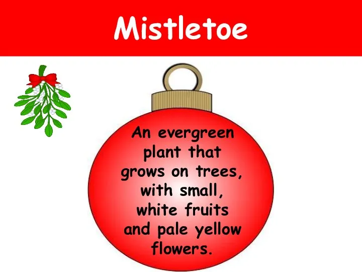 Mistletoe An evergreen plant that grows on trees, with small, white fruits and pale yellow flowers.