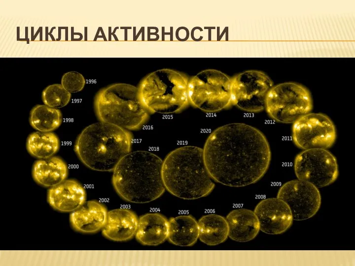 ЦИКЛЫ АКТИВНОСТИ