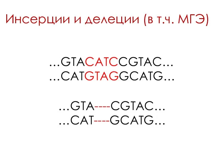 Инсерции и делеции (в т.ч. МГЭ) …GTACATCCGTAC… …CATGTAGGCATG… …GTA----CGTAC… …CAT----GCATG…