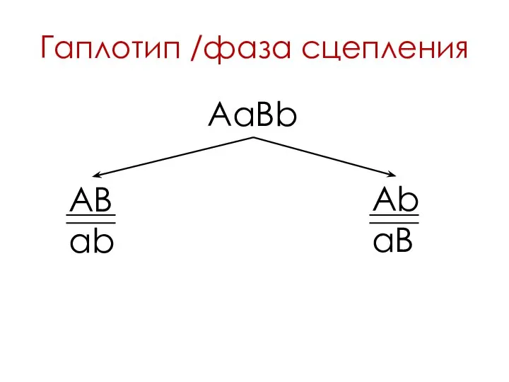 Гаплотип /фаза сцепления AaBb AB ab Ab aB