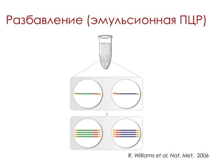 Разбавление (эмульсионная ПЦР) R. Williams et al. Nat. Met. 2006