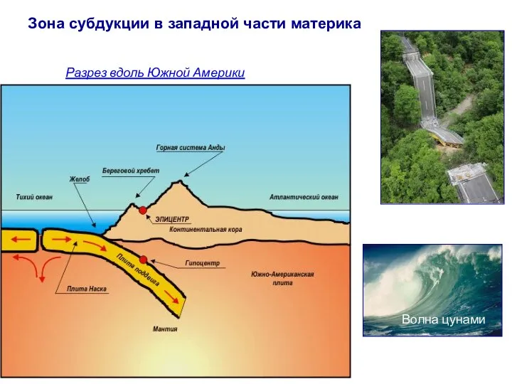 Зона субдукции в западной части материка Разрез вдоль Южной Америки Волна цунами
