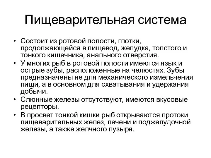 Пищеварительная система Состоит из ротовой полости, глотки, продолжающейся в пищевод, желудка,