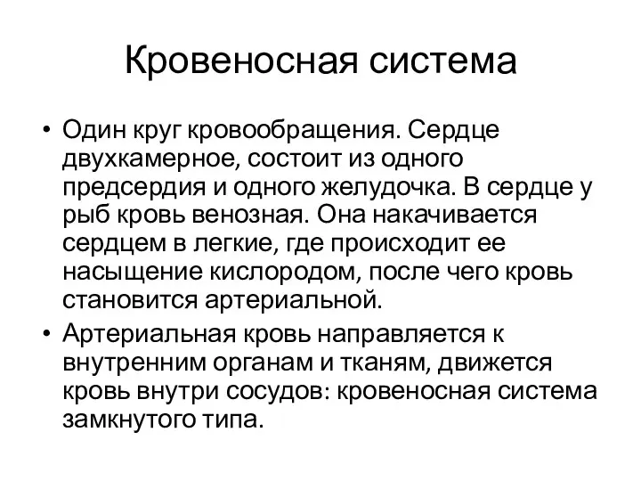 Кровеносная система Один круг кровообращения. Сердце двухкамерное, состоит из одного предсердия