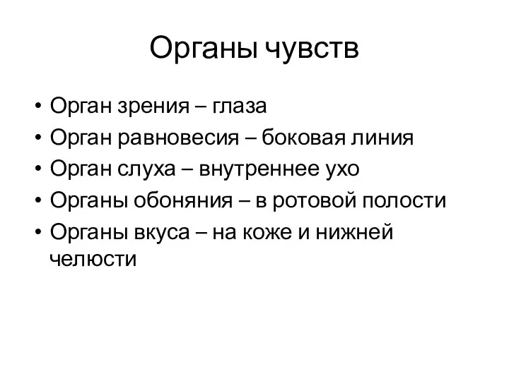 Органы чувств Орган зрения – глаза Орган равновесия – боковая линия