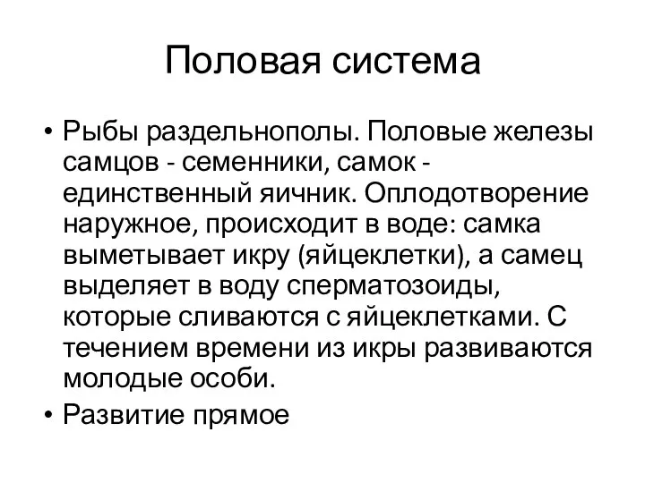 Половая система Рыбы раздельнополы. Половые железы самцов - семенники, самок -