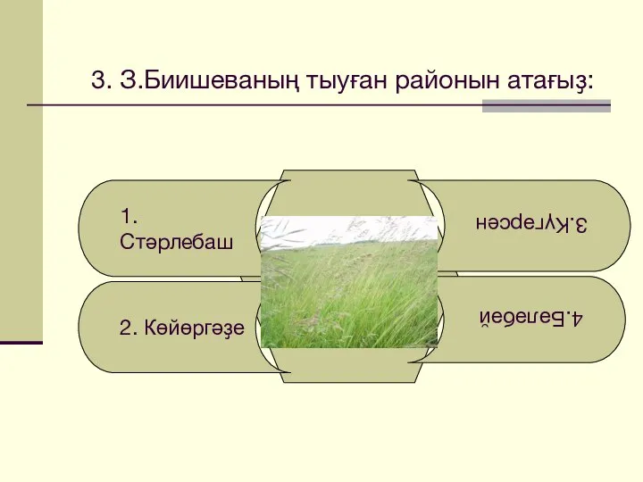 3. З.Биишеваның тыуған районын атағыҙ: 1.Стәрлебаш 2. Көйөргәҙе 4.Бәләбәй 3.Күгәрсен