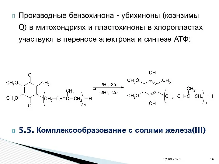 Производные бензохинона - убихиноны (коэнзимы Q) в митохондриях и пластохиноны в