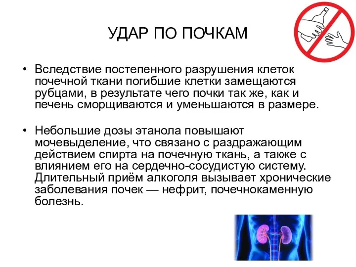 УДАР ПО ПОЧКАМ Вследствие постепенного разрушения клеток почечной ткани погибшие клетки