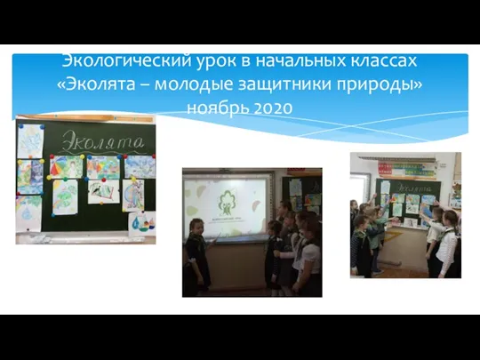 Экологический урок в начальных классах «Эколята – молодые защитники природы» ноябрь 2020