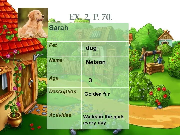 EX. 2, P. 70. dog Nelson Golden fur 3 Walks in the park every day