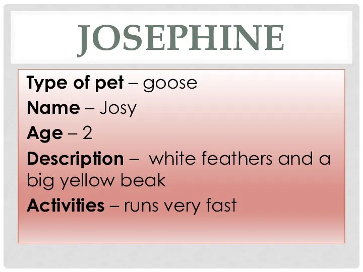 JOSEPHINE Type of pet – goose Name – Josy Age –
