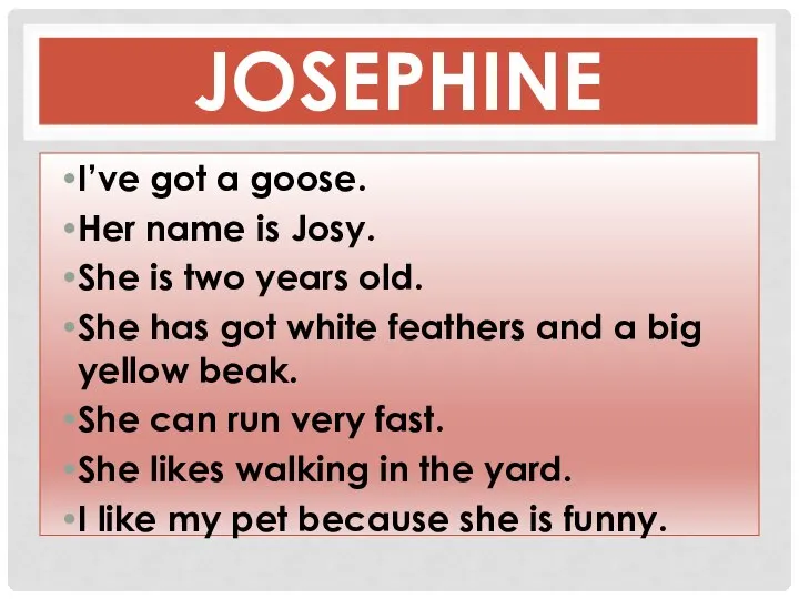 JOSEPHINE I’ve got a goose. Her name is Josy. She is
