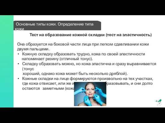 Основные типы кожи. Определение типа кожи Тест на образование кожной складки