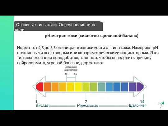 Основные типы кожи. Определение типа кожи pH-метрия кожи (кислотно-щелочной баланс) Норма