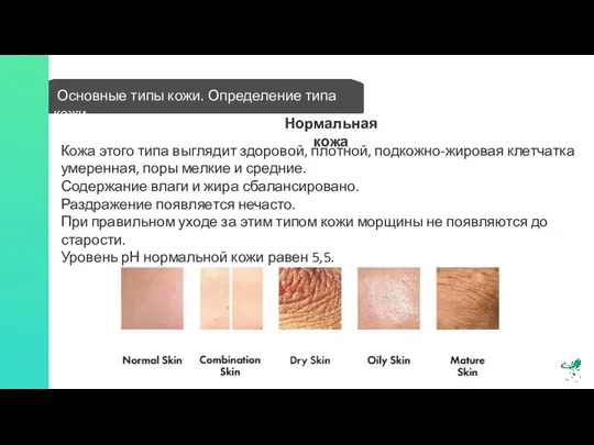 Основные типы кожи. Определение типа кожи Кожа этого типа выглядит здоровой,