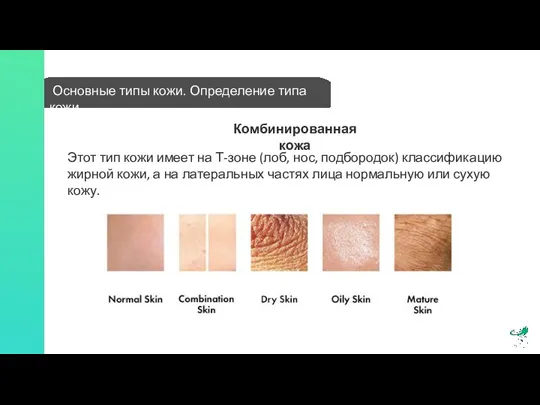 Основные типы кожи. Определение типа кожи Этот тип кожи имеет на