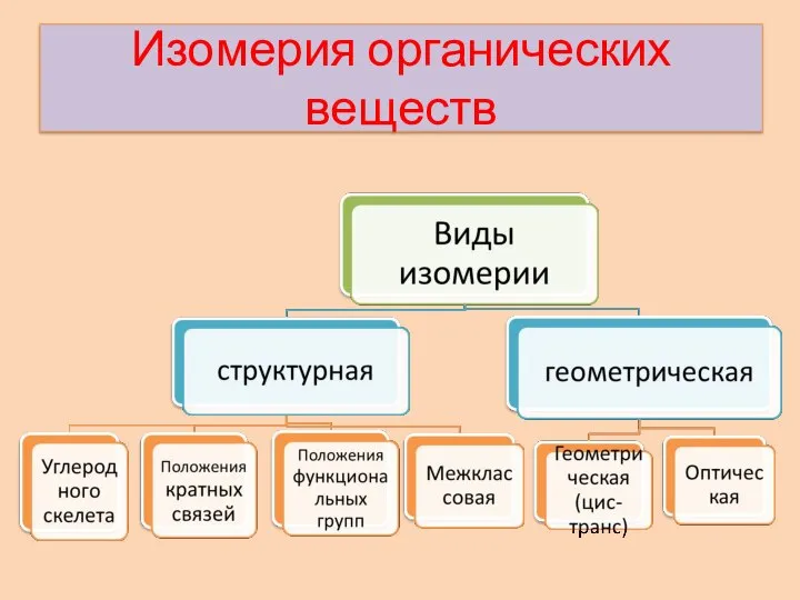 Изомерия органических веществ