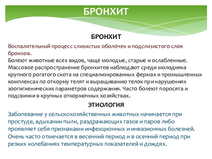 БРОНХИТ БРОНХИТ Воспалительный процесс слизистых оболочек и подслизистого слоя бронхов. Болеют