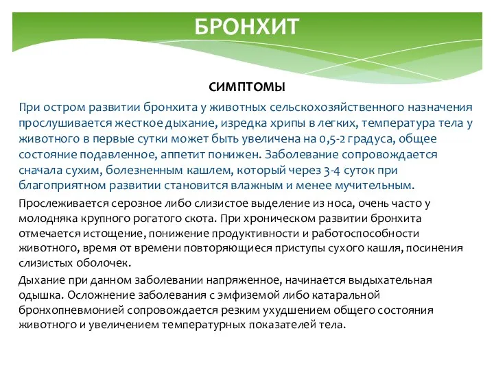 БРОНХИТ СИМПТОМЫ При остром развитии бронхита у животных сельскохозяйственного назначения прослушивается